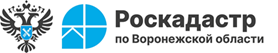 В Воронежской области оцифровано 100% кадастровых дел.